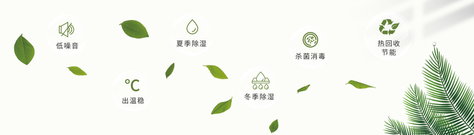 196ddfa8e589460c6348b41524a8726